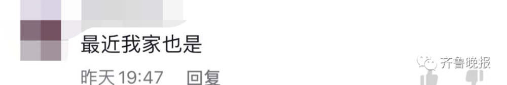 北京市昌平区第四实验小学迎接疫情防控、“双减”等工作专项督导济南机场宽体机航线