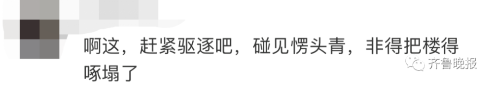咚咚咚！家住15楼，却每天早上准时传来敲窗声，原来…