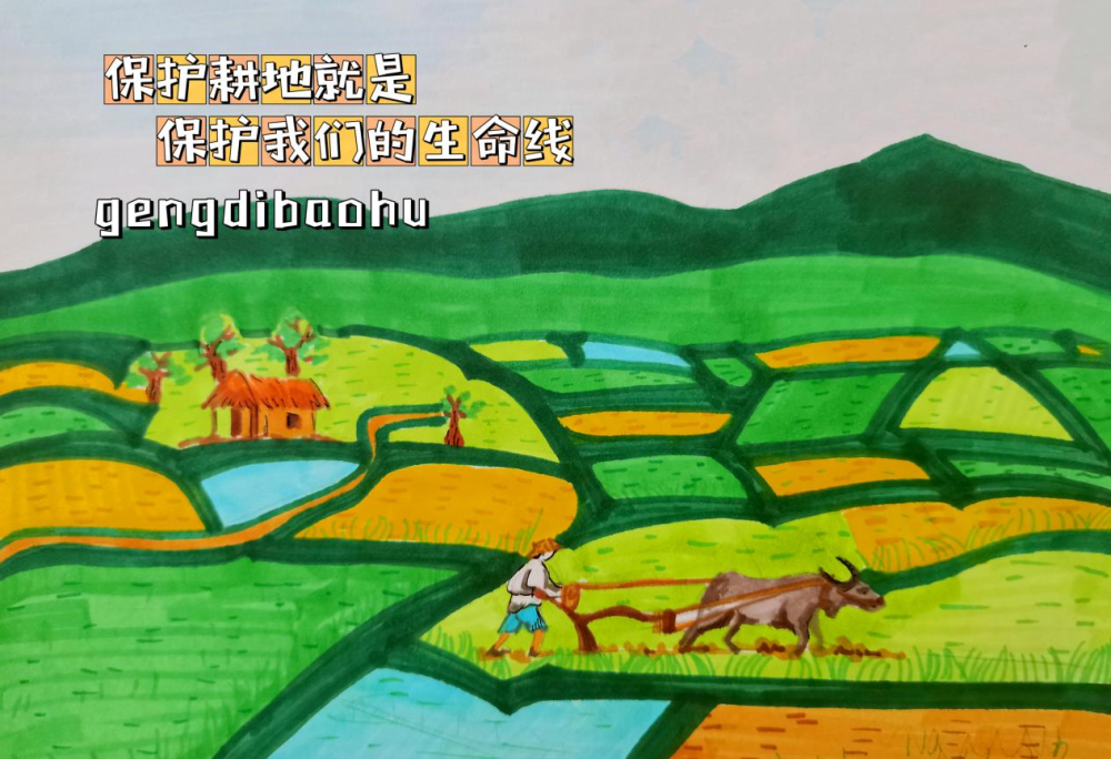 漫画丨东安加强耕地保护助力乡村振兴