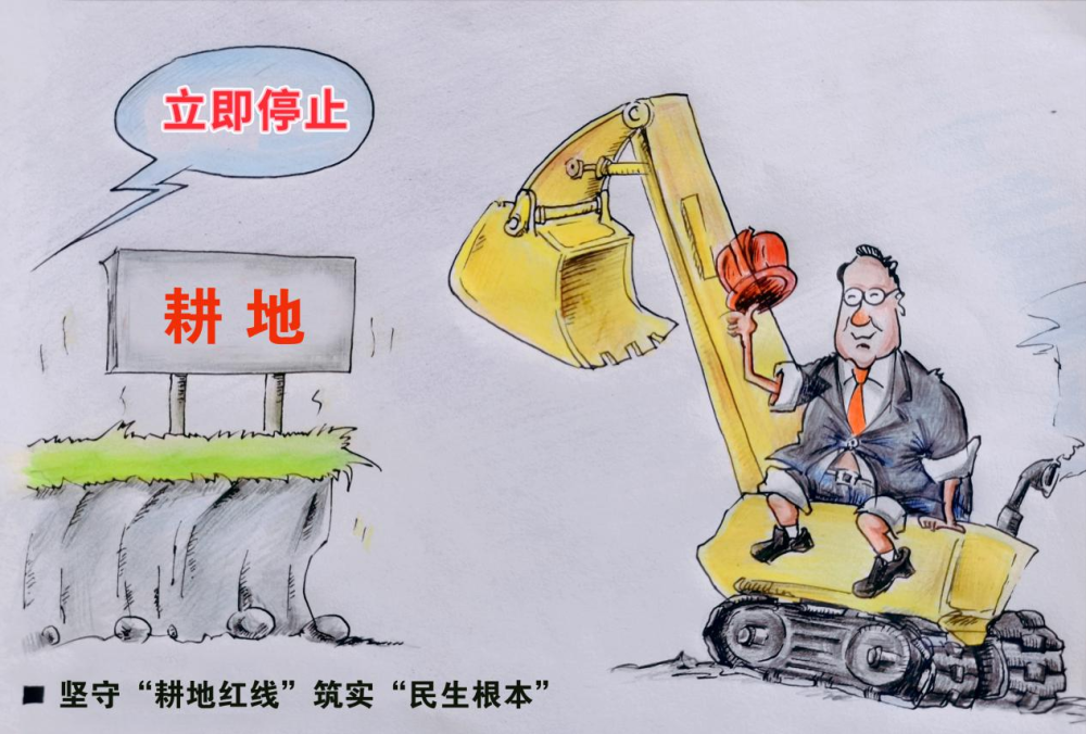 漫画丨东安加强耕地保护助力乡村振兴