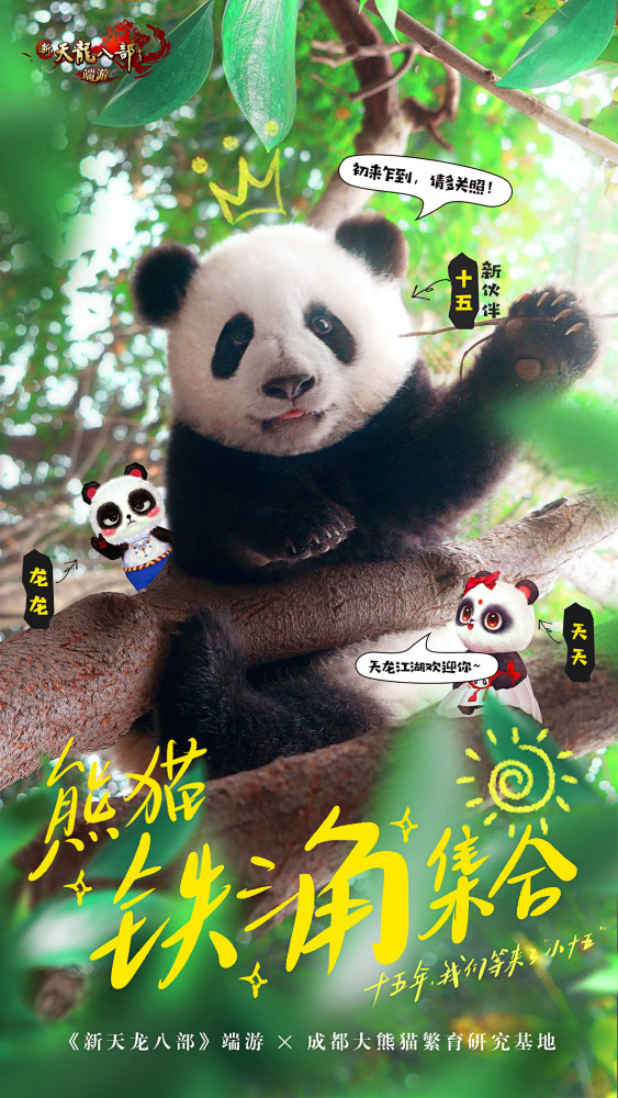 Trench Out Of The Sky Another Panda The Eight Spokespersons Of The New Tianlong Are In A Group Today Laitimes