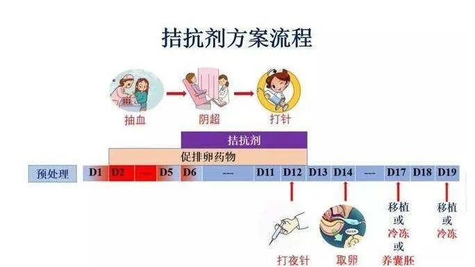 三代试管长方案短方案拮抗剂方案哪种促排方案比较好你知道吗