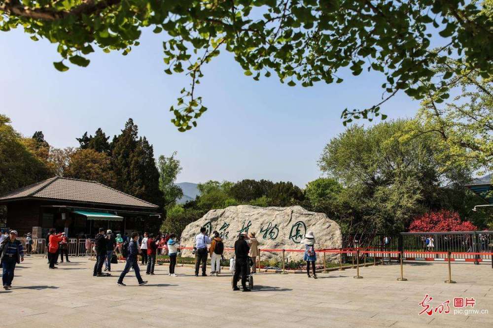 國家植物園是在中國科學院植物研究所(南園)和北京市植物園(北園)現有