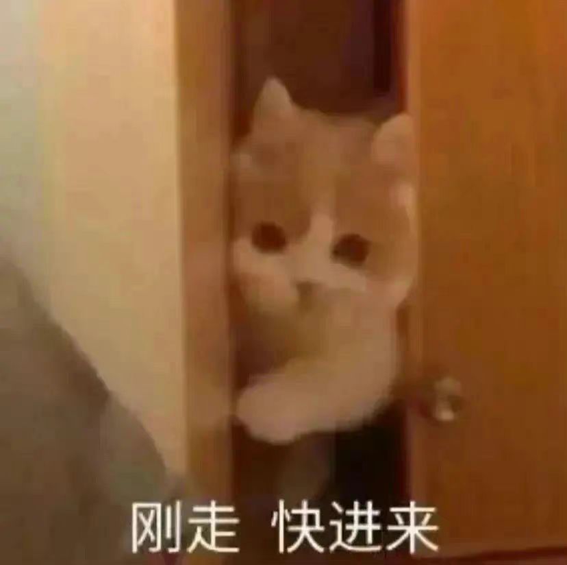 《阴阳师》绘忆幻局活动即将开启猿辅导网课资源