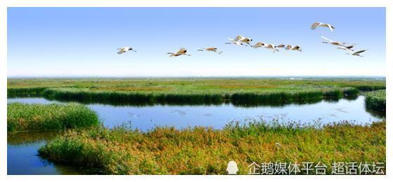 菏泽二字均与水有关 此地古代曾是湖泊沼泽吗 还真有不少大湖 荷泽 大野泽 大湖 山东 沼泽 湖泊