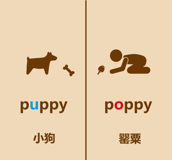 懒人英语简笔画poppy