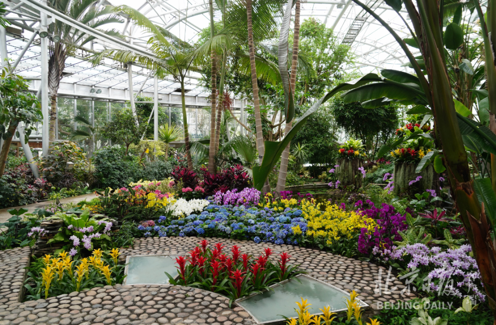 国家植物园为什么选在北京三大硬核优势还有千种珍稀植物