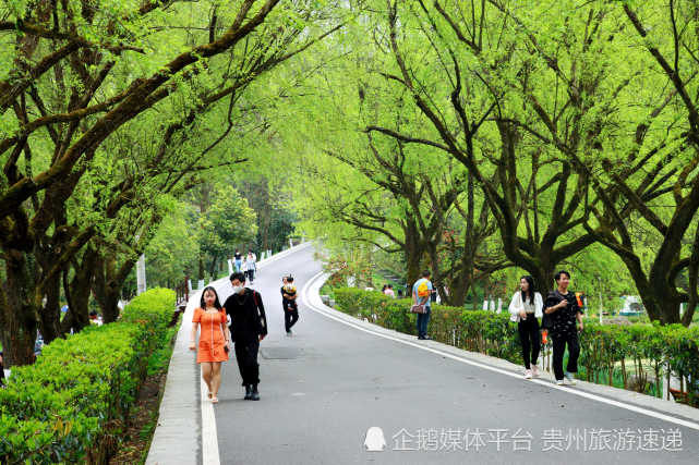 春意盎然,一起去贵阳长坡岭森林公园享受"天然氧吧"