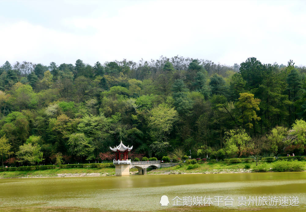 春意盎然一起去贵阳长坡岭森林公园享受天然氧吧