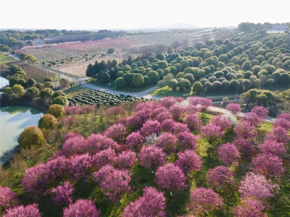 省里扬名溧阳这个地方要火