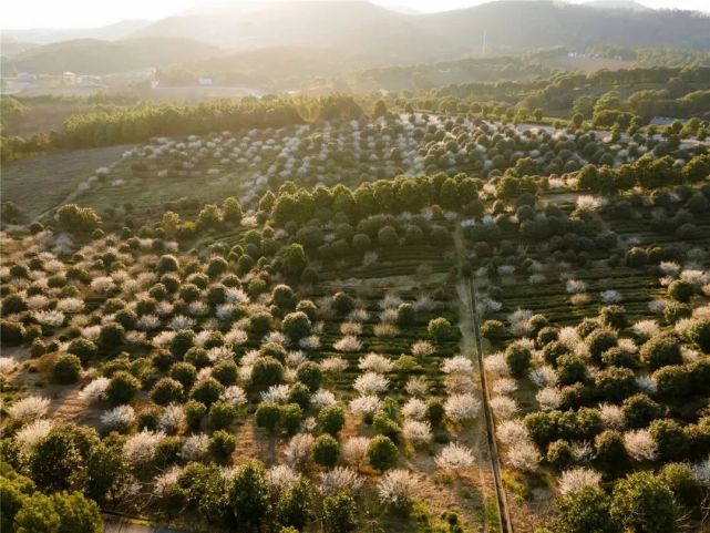 溧阳这个地方要火!