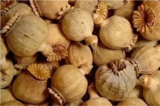 但是在我们生活中,还有一种叫"鸦片"的东西,也被称为毒品,这种东西的