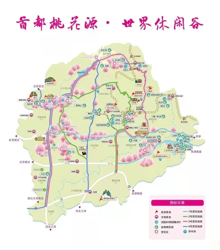 春在枝头桃花已盛快来桃花岛赏美景