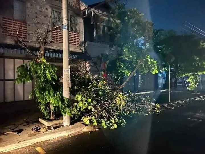 缅甸曼德勒遭强风袭击，多个街区树被连根拔起！1986年小学五年级语文课本