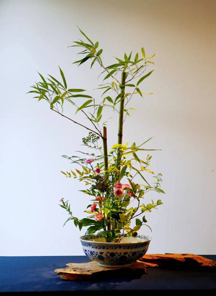花开中国梦 中国插花花艺名家李慧淑世界邮票全球首发 腾讯新闻