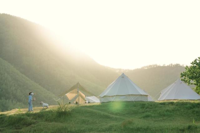 昔日穷山村成绝美露营地 安吉夏阳:一顶帐篷共富一个村