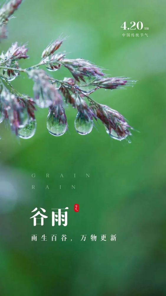 谷雨诗词帆得樵风送春逢谷雨晴