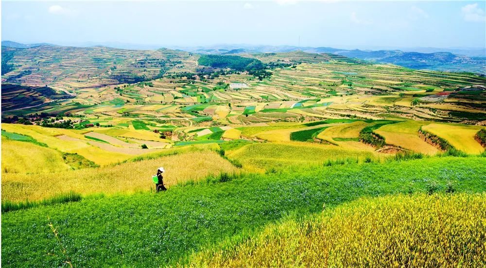 平凉故事文明之旅庄浪中国第一个梯田化模范县