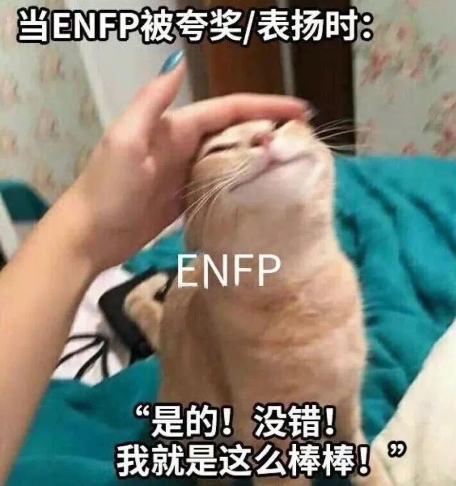 楊冪是enfp(競選者型人格).