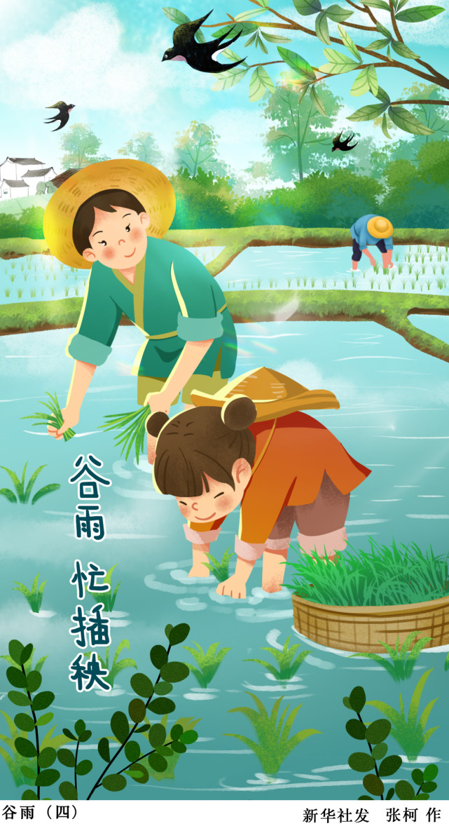 (图表·插画)【二十四节气·谷雨】谷雨(四)