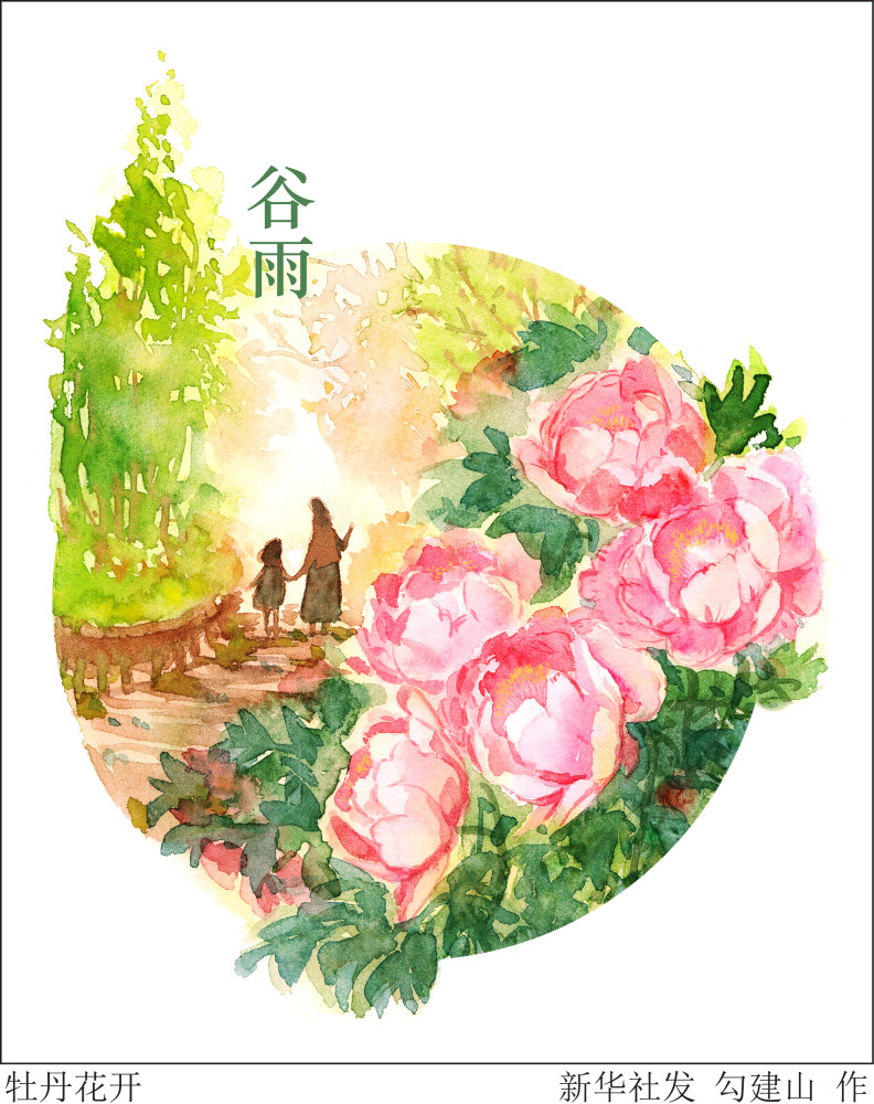 图表插画二十四节气谷雨牡丹花开