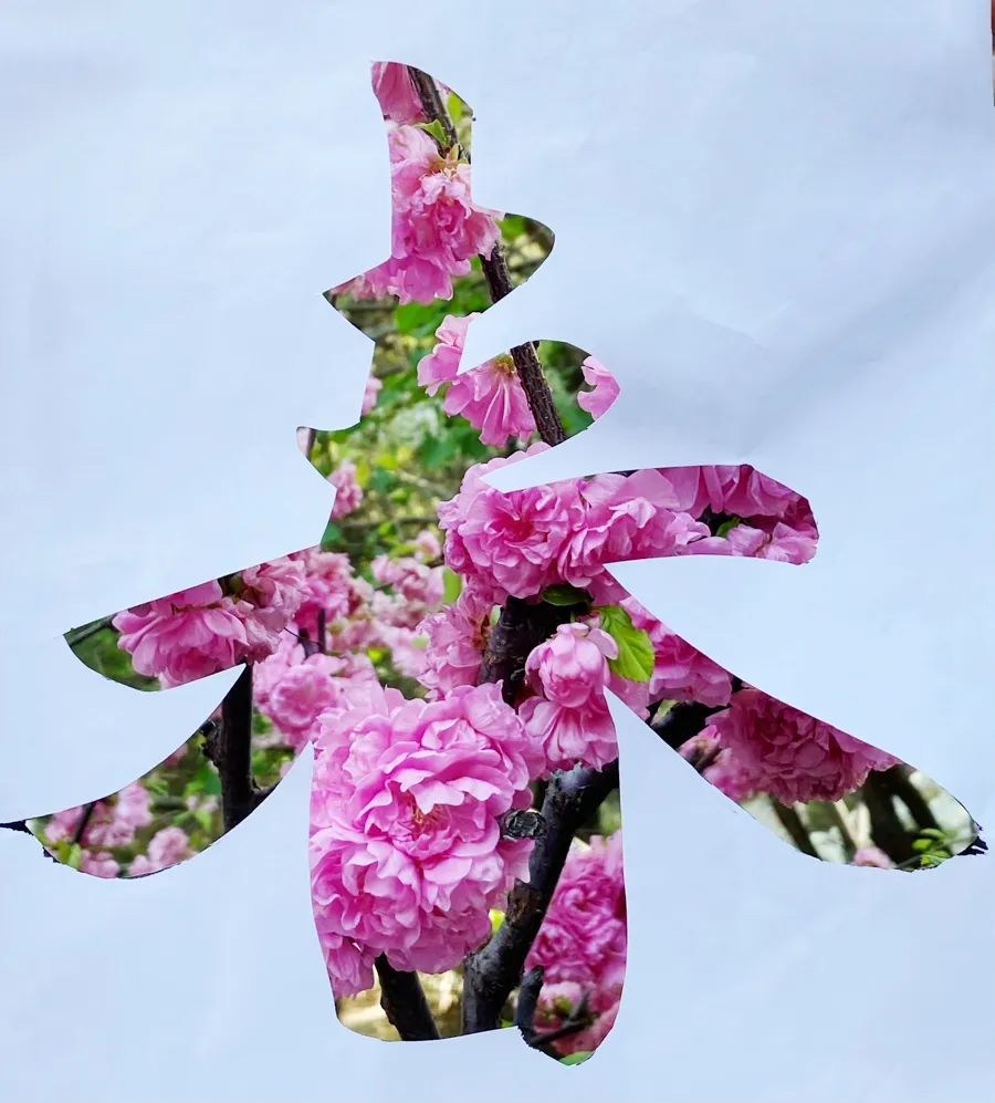 创意打卡|"剪"一个春字 "捡"一片春天_腾讯新闻