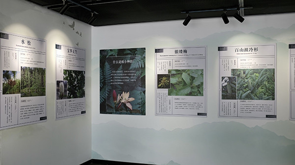 探访我国首个国家植物园：世界温室三大旗舰植物在园内展示
