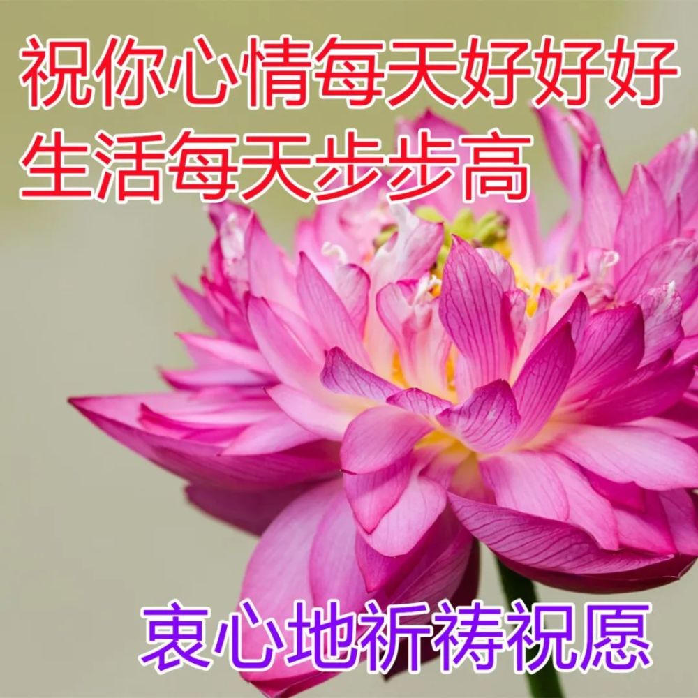 祝福滿滿的早上好問候圖片合集早安祝福圖片加字