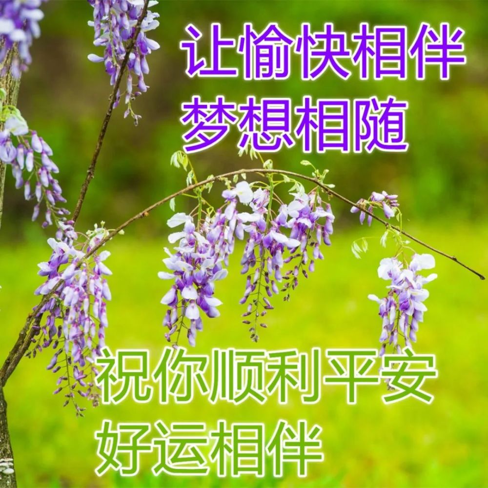 最新早晨問候動態祝福圖片加字溫馨早安動態表情包