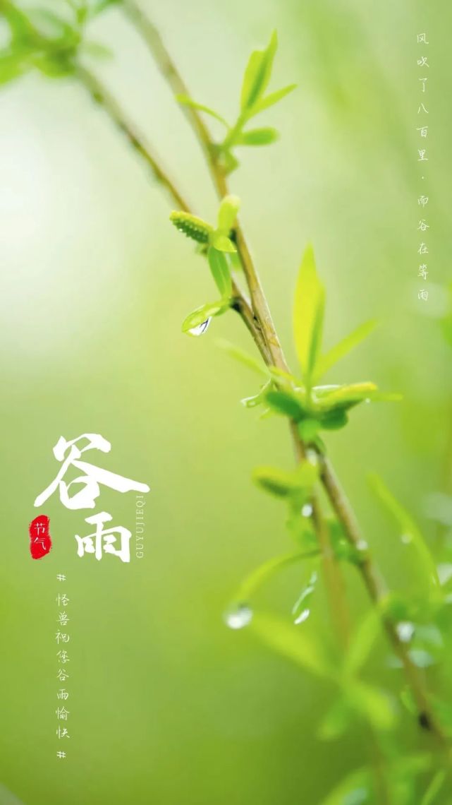 2022最新穀雨祝福圖片海報配圖大全,二十四節氣穀雨問候祝福語大全