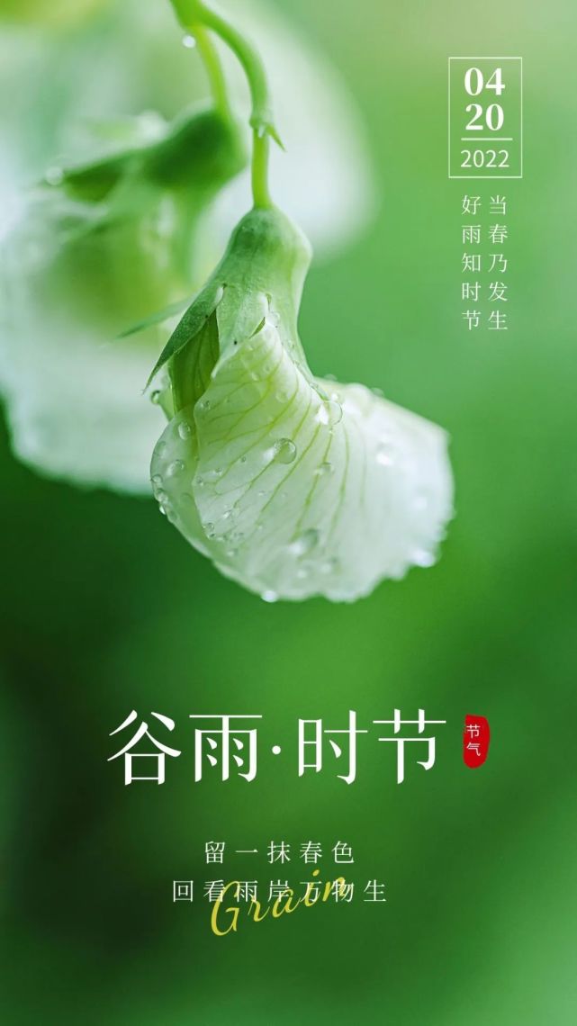 2022最新谷雨祝福图片海报配图大全,二十四节气谷雨问候祝福语大全