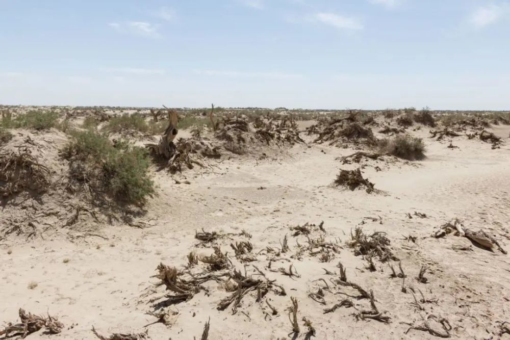 盤點地球上十大破壞力超強的極端自然災害附火山是怎麼形成的火山爆發