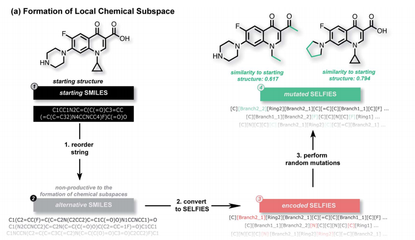 chemicalscience生成模型使用selfies的分子優化探索和發現算法