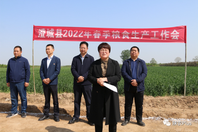 澄城县副县长杜占利坐镇全县春季粮食生产工作会谋划粮食安全