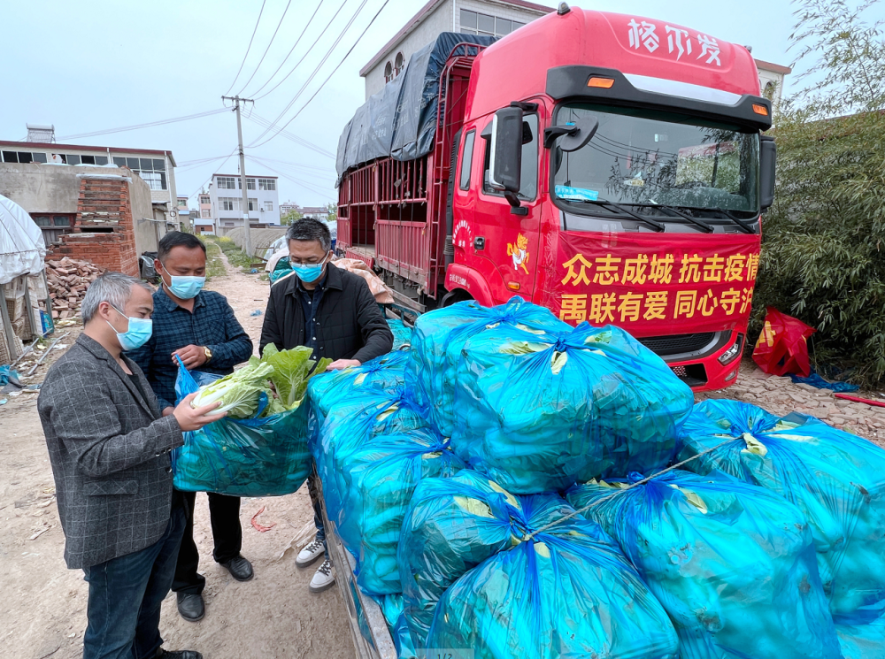 我市爱心企业捐赠10吨新鲜蔬菜驰援上海