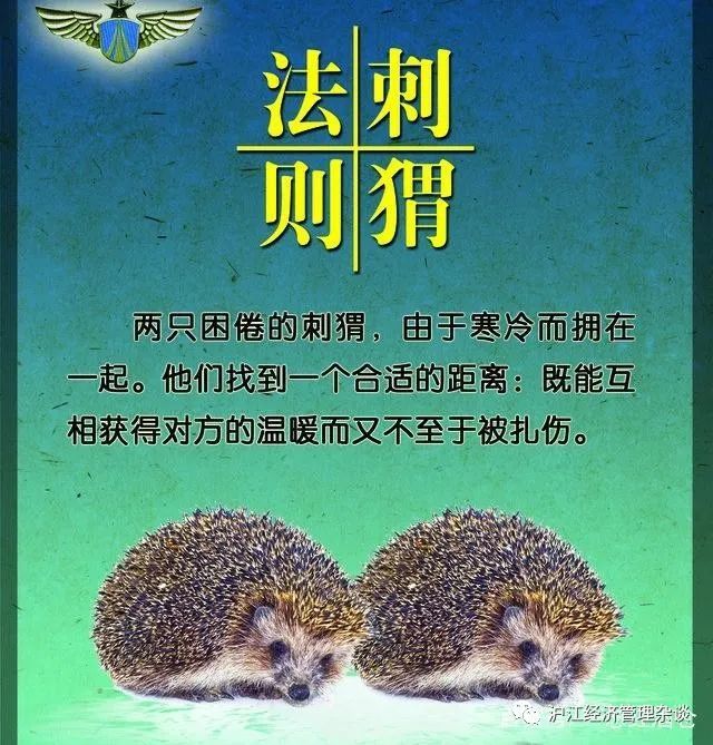 每天一点管理学刺猬法则