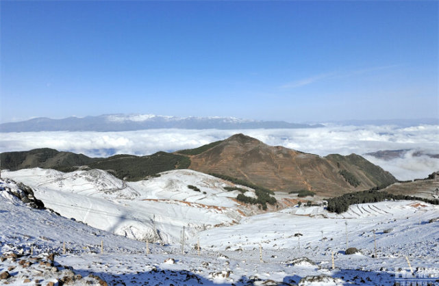 会泽大海草山雪景图片