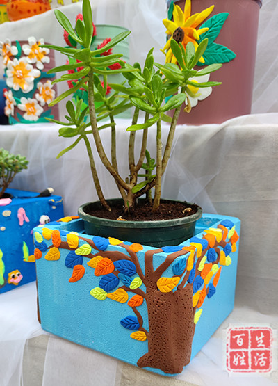 劳动创造美 青白江区大同小学开展花盆设计展