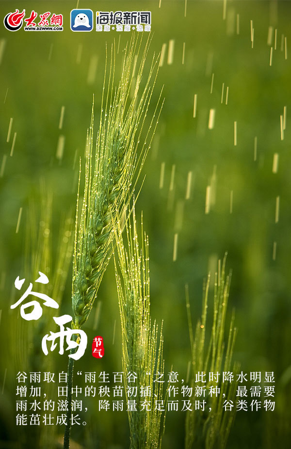 海报雨生百谷滋润万物