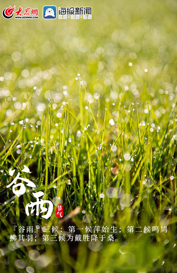 海报雨生百谷滋润万物