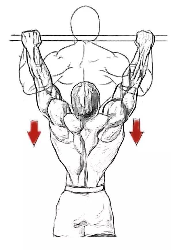 如何快速提高引体向上能力?全靠这些小窍门