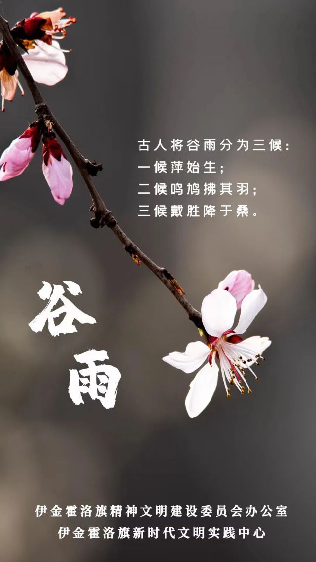 谷雨过后再无寒 人间芳菲已向暖