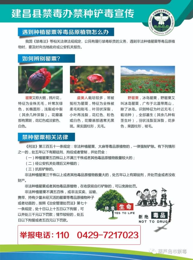 此次活动,禁毒大队民警制作电子版宣传单利用微信等通信工具,广泛发动