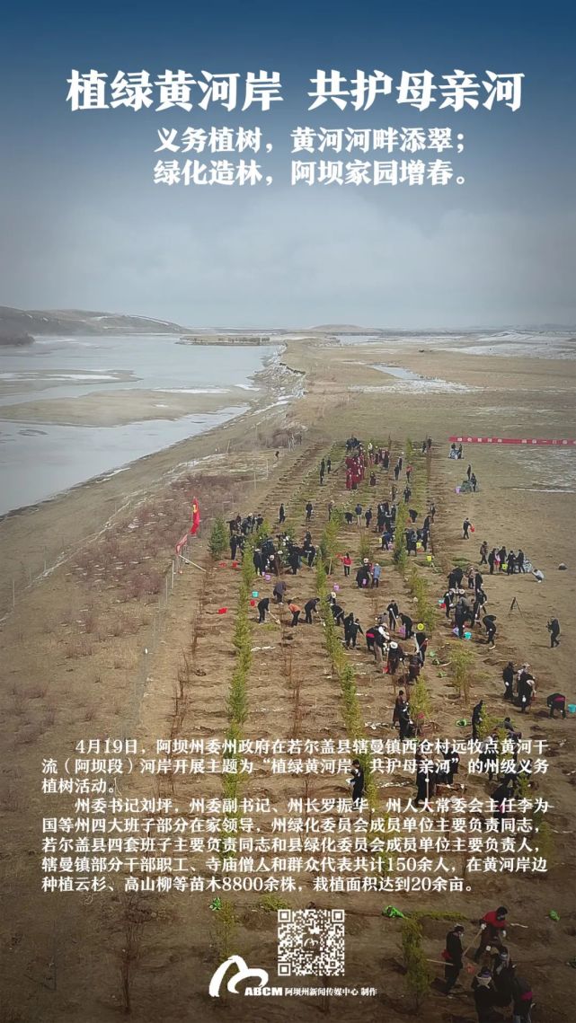 【植綠黃河岸 共護母親河】阿壩州開展2022年州級義務植樹活動