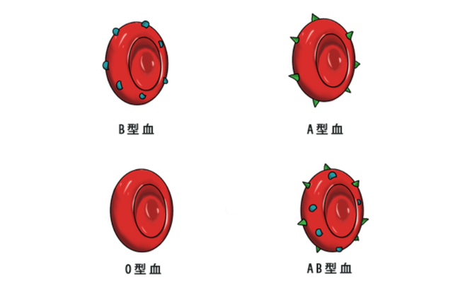 "b型血容易招蚊子"o型血患癌几率比较低 不同血型之间有什么一样的?