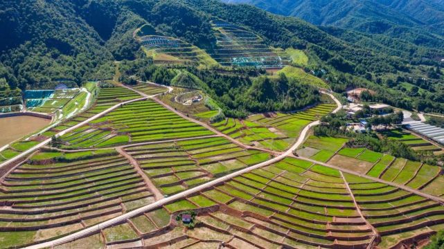 叶先锋 摄日前,记者来到福建省龙岩市连城县文亨镇田心铁矿废弃矿山