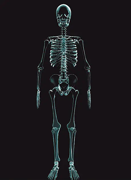 为什么体检项目中不含有petct骨显像