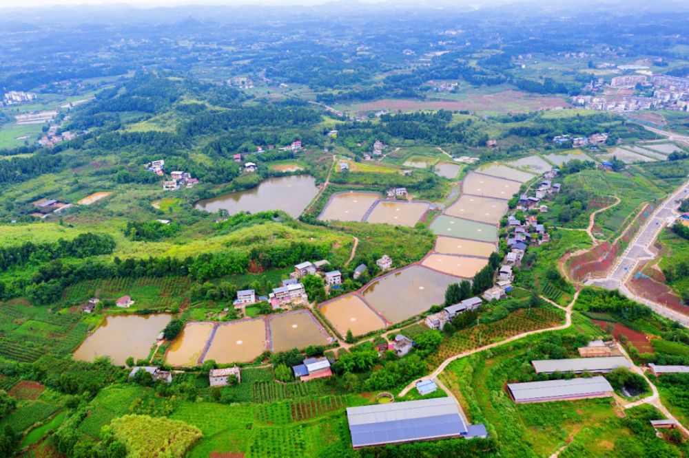 金堂縣旅遊網站建設_(金堂縣旅遊網站建設項目招標)