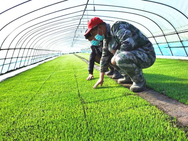 【能力作风建设年】勤得利农场有限公司党委抓"三条主线"扎实推进"