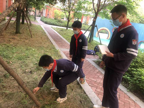 【常德】鼎城区永安小学:小小巡查岗 文明满校园